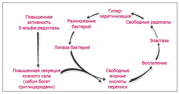 Препараты 5 ингибиторы 5 альфа