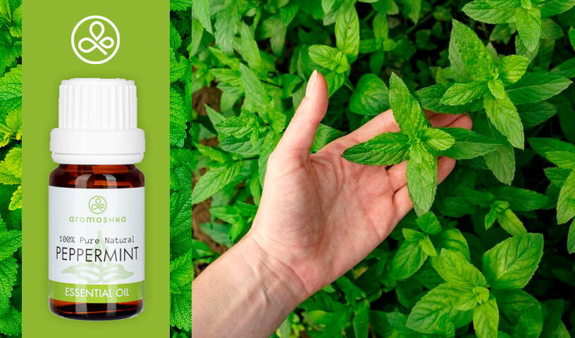 Эфирное масло мяты перечнои от Aromashka
