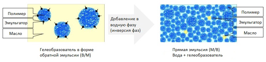 Обратный фазовый переход