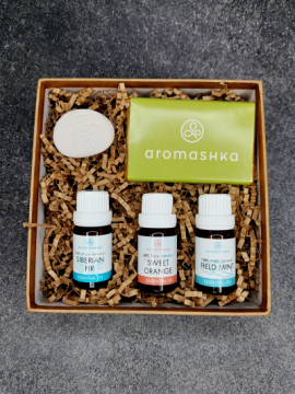 Купить Для автомобиля и офиса