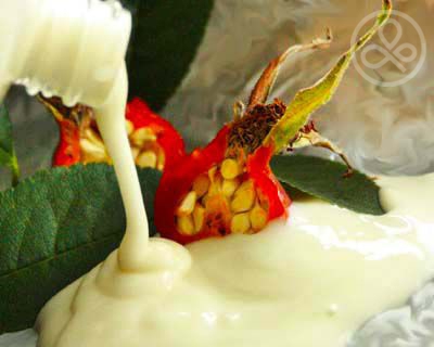Рецепт домашней косметики Молочко для жирной и смешанной кожи